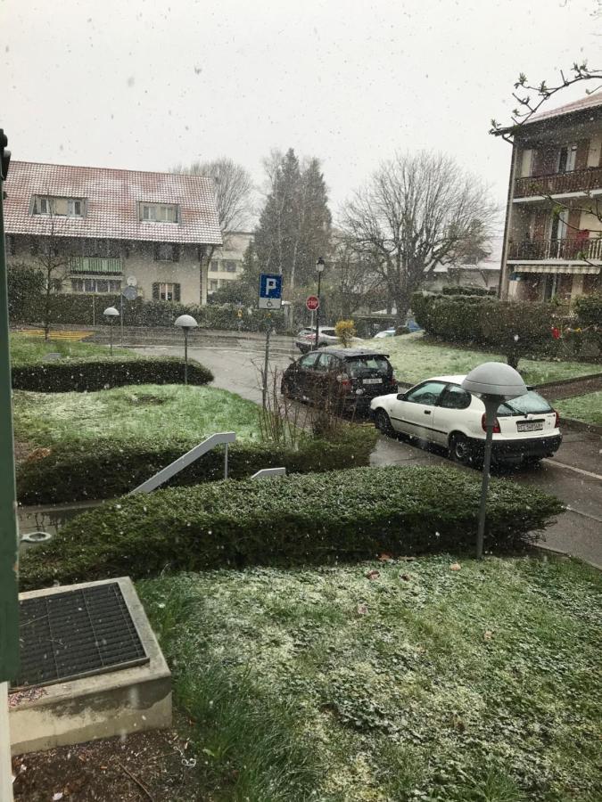 Geneva Bernex - Shared Appartement Roomate Homestay - Tramway 14 Tpg - Viarhona מראה חיצוני תמונה