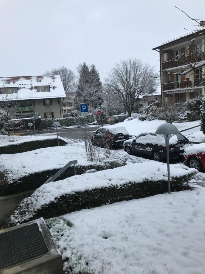Geneva Bernex - Shared Appartement Roomate Homestay - Tramway 14 Tpg - Viarhona מראה חיצוני תמונה
